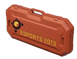 eSports 2013 Case