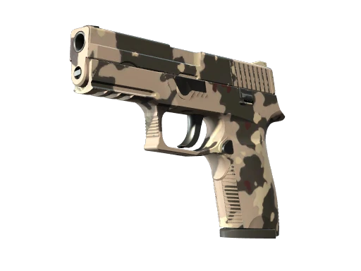 P250 | Black & Tan (Minimal Wear)