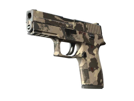 P250 | Black & Tan (Field-Tested)