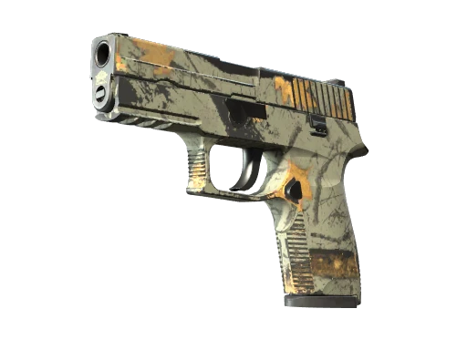P250 | Modern Hunter (Field-Tested)