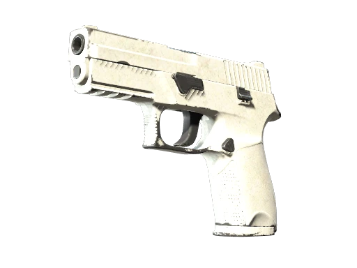 P250 | Whiteout (Well-Worn)