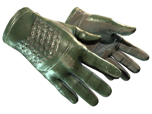 ★ Driver Gloves | Racing Green (Field-Tested)