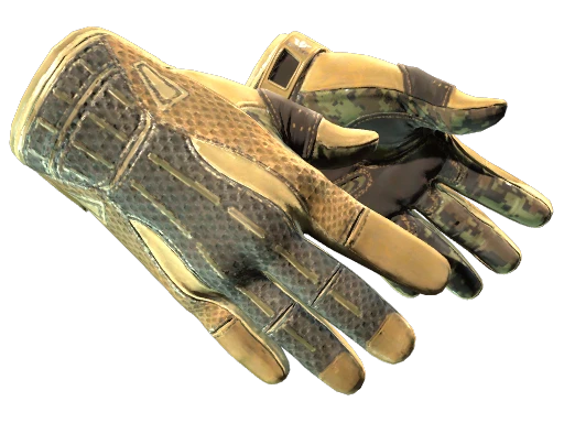 ★ Sport Gloves | Arid (Minimal Wear)