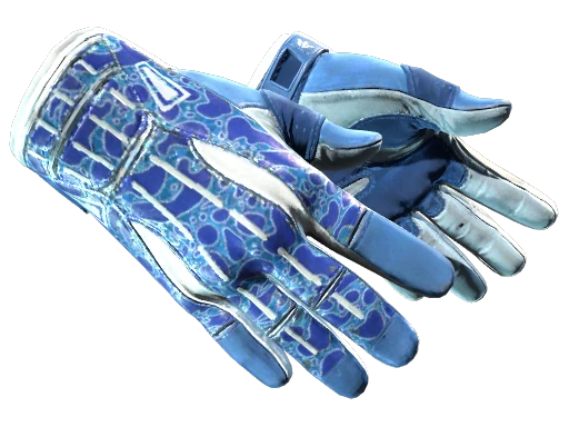 ★ Sport Gloves | Amphibious (Minimal Wear)
