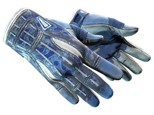 ★ Sport Gloves | Amphibious (Battle-Scarred)