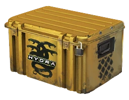 Operation Hydra Case