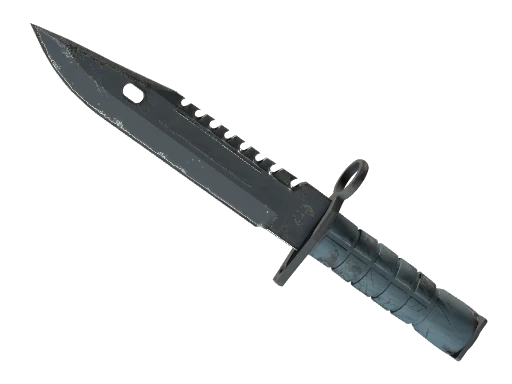 ★ M9 Bayonet | Night (Field-Tested)